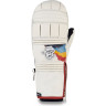 Варежки DAKINE POINTER MITT HCSC RAINBOW Размер L 10001995 (0610934301120)